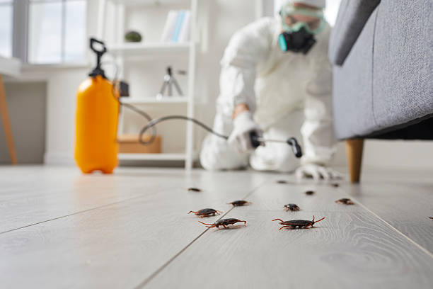Commercial Kitchen Cockroach Control in Shelbina
